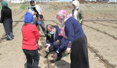 BELEDİYEDEN KADINLARA İŞ DESTEĞİ