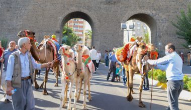 DİYARBAKIR KARPUZ FESTİVALİ BÜYÜLEDİ