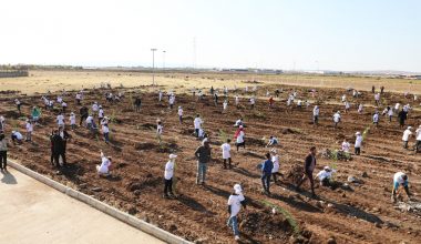 500 FİDAN TOPRAKLA BULUŞTU